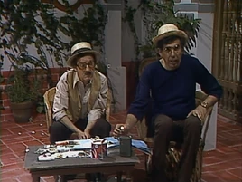El álbum de estampitas (1980)