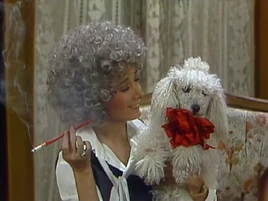 La Condesa (1981)