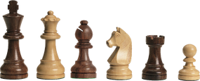 DGT Chessmen