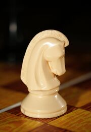 Chess knight 0971 e3jq.jpg