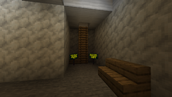 Level 0, Chessy's Minecraft:Backrooms Wiki