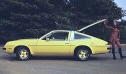 1976 Buick Skyhawk