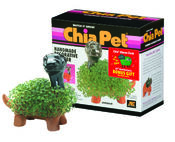 chia pet dino