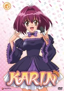 Vol. 6 - Ceremony of Blood