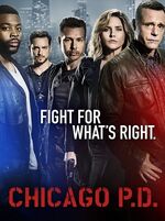 Chicago P.D. (Season 4)