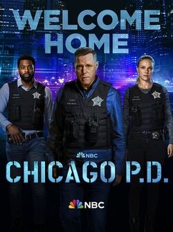 ChicagoPDPoster11