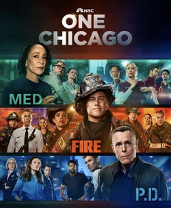 ChicagoFranchisePoster1