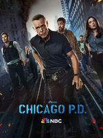 Chicago P.D. (Season 12)