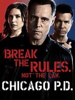 Chicago P.D. (Season 2)