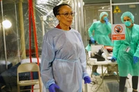 Cm0504c.jpg (380 KB)