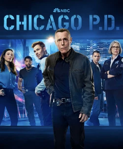 Chicago PD Poster 13