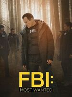 FBI: Most Wanted (Season 2)