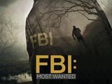 FBI: Most Wanted Seasons