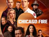 Chicago Fire (Season 9)