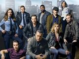 Chicago P.D. (Season 3)