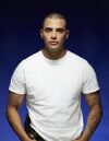 Dante Torres