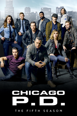 Chicago pd season outlet 5 episodes