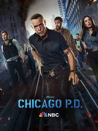 Season 12 Chicago PD Wiki Fandom