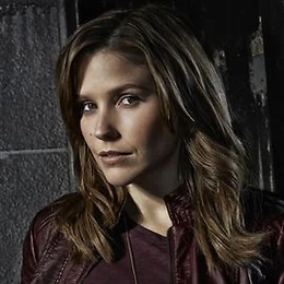 2013 1205 ChicagoPD Bio SophiaBush 500x500 AC