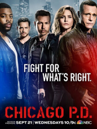 Chicago pd season 4 free online top
