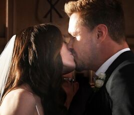 Burzek season 12