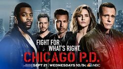 Chicago pd season 4 episode 6 watch online outlet