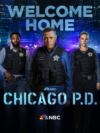 Season 11 Chicago PD Wiki Fandom