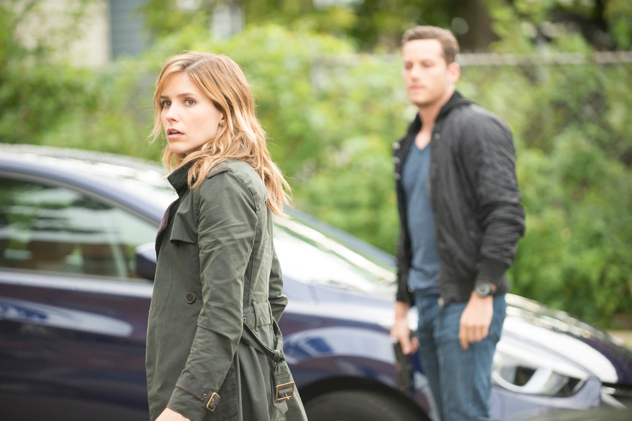 Chicken Dynamite Chainsaw Chicago PD Wiki Fandom