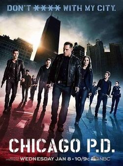 Chicago P.D.: Seasons 1-4 [DVD-PAL](Import)(品)