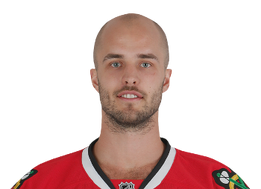 Niklas Hjalmarsson, Chicago Blackhawks Wiki