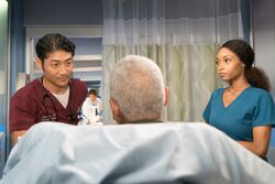 April Sexton Chicago Med Wiki Fandom