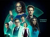 Season 8