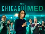 Season 11