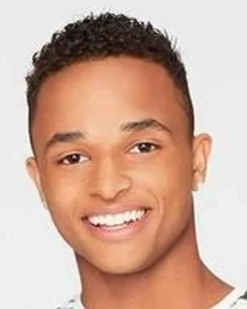 Ty Chicken Girls Wiki Fandom