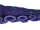 Squid