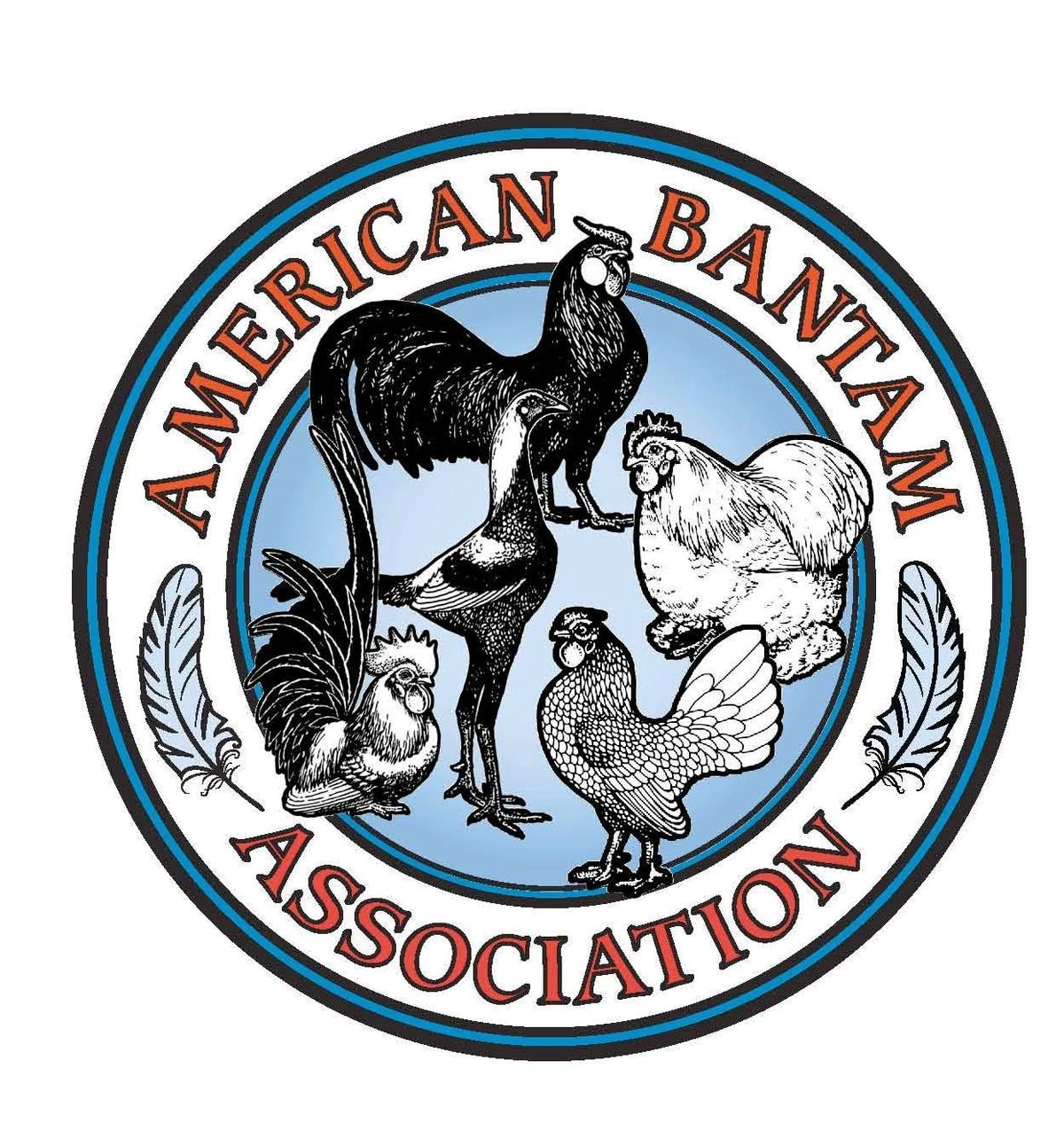 American Bantam Association Chicken Wiki Fandom