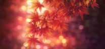 Chihayafuru-soshite-ima-ending-1 (1)