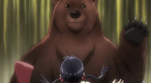 Bear