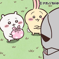 Pochette Yoroi-san | Chiikawa Wiki | Fandom
