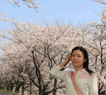 伊藤美結己 子の連れ去り 引き離し Wiki Fandom