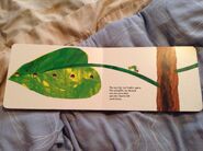 The Very Hungry Caterpillar (10)