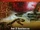 The Answers Book