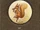 The Tale of Squirrel Nutkin