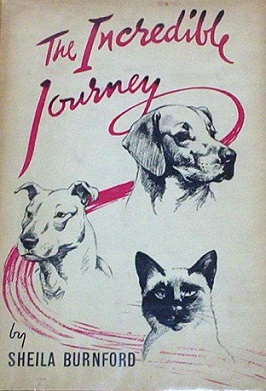 incredible journey book cover