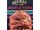 Secret in the Maple Tree (series)