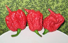 Carolina Reaper pepper pods.jpg
