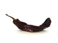 Dried Guajillo chile pod