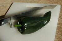 A fresh poblano chile, often sold north of Mexico and sometimes (incorrectly) referred to as pasilla