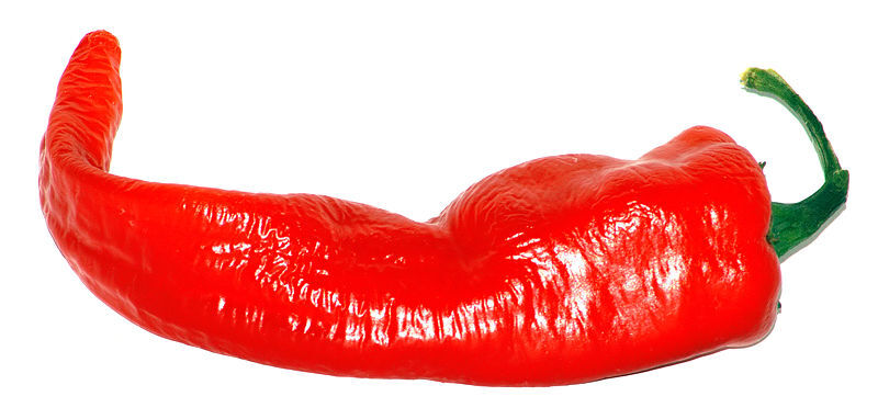 Chili pepper, Chili Peppers Wiki