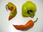 Paprika.fruits.three